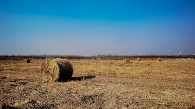 Kakadu Kazino Mobilā lietotne